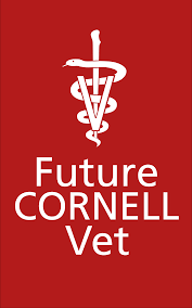 Requirements | Cornell University College of Veterinary Medicine