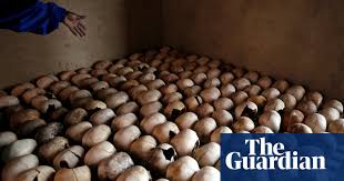 America's secret role in the Rwandan genocide | Rwanda | The Guardian