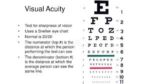 snellen eye chart manufacturer
