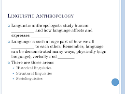 What Is Linguistic Anthropology?
