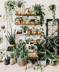 42 Amazing Indoor Garden Decorations