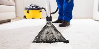 carpet cleaning s s janitorial services