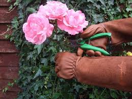 Goatskin Leather Gardening Gloves