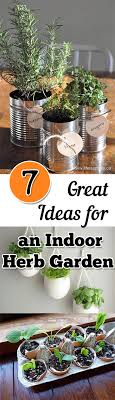 7 Great Ideas For An Indoor Herb Garden