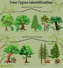 how many tree species are there see