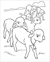 Click the sheep coloring pages to view printable version or you might also be interested in coloring pages from sheep category. Sheep Coloring Pages Coloringbay