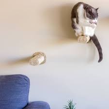 Cat Tree Cat Scratching Climbing Posts
