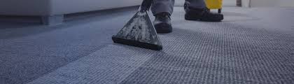 carpet cleaning services in vienna va