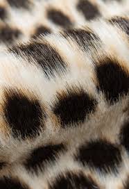 acadia aca 2 cheetah multi colour area