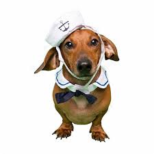 Sailor Costume for Small Dogs - Costumes Posh Puppy Boutique