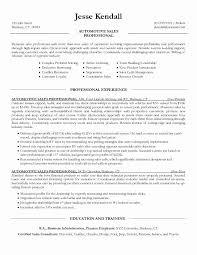 This customer service job description sample will assist you understanding the skills for customer service representatives in order to creating a targeted resume. Awesome Car Sales Consultant Sample Resume Sales Resume Examples Sales Resume Job Resume Samples