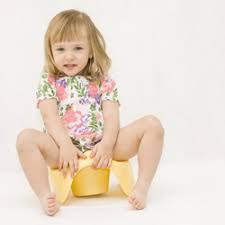 How To Potty Train Girls Potty Training Concepts