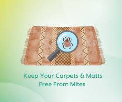 get rid of carpet mites serna fm london
