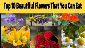 top 10 beautiful flowers in the world
