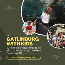 fun and unique gatlinburg tennessee