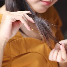 how to get rid of split ends reviewed