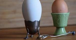 Quelle est la différence entre un œuf d'oie et un œuf de poule ?