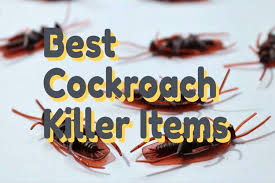 best roach items n remes