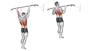 back workouts the 6 best back
