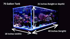 75 gallon fish tank dimensions and