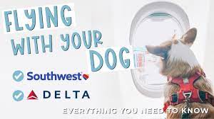 flying with your dog on southwest and