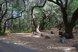 Henry cowell redwoods state park campground felton california. Henry Cowell Redwoods State Park Campsite Photos Camping Info