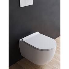 Ceramic Toilet Pan With Soft Close Seat