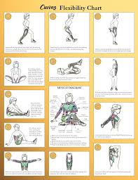 77 Bright Gym Workout Chart Hd Images Pdf