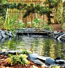 Large Garden Pond Ideas Australia