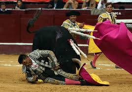 Luis Bolívar espera que Corte colombiana entienda lo que es el toro bravo