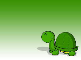 animated turtle wallpapers top free