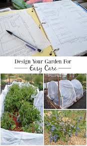 vegetable garden design for easy care