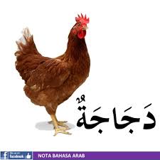 Tujuan utama untuk senarai ini adalah untuk menyahkaburkan ejaan berganda. Haiwan Dalam Bahasa Arab Share Viral Nota Bahasa Arab Facebook