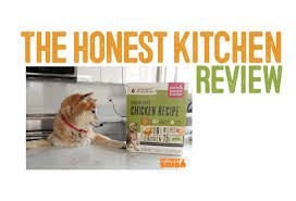 honest kitchen dog food review my