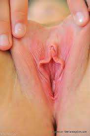 Pretty Pink Pussy Porn Pic 