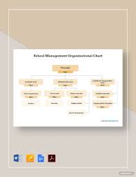 school organizational chart 26