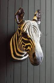 faux taxidermy zebra head animal
