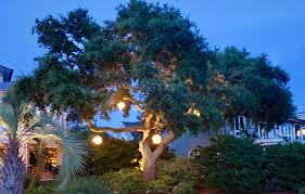 Outdoor Lighting