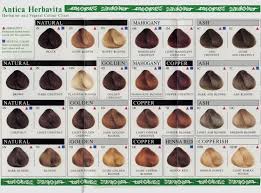 Colorchart Hairsm Sophie Hairstyles 313