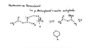 Mechanism Of Paracetamol Synthesis