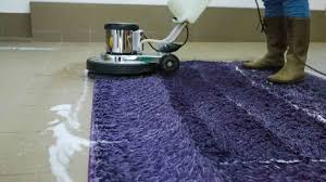 executive green carpet cleaning eco