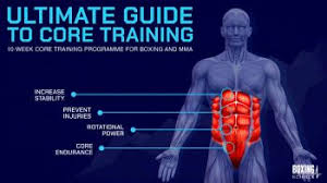 the program boxing science strength and