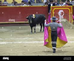Luis Bolívar, aquí en un evento benéfico, es el único torero colombiano con  el reconocimiento internacional de luchar en España. (Foto de Abraham  Mahshie/Miami Herald/MCT/Sipa USA Fotografía de stock - Alamy