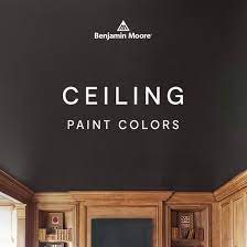 16 Best Ceiling Paint Colors Ideas