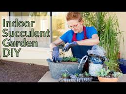How To Make An Indoor Succulent Garden