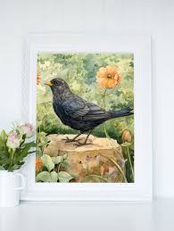 Blackbird In An English Garden Wall Art