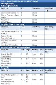 15 Images Of Overhead Squat Assessment Forms Template