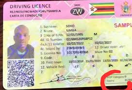 plastic driver s licence