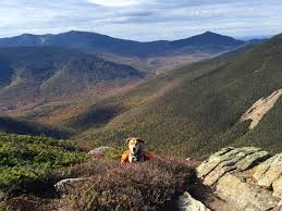 Mount Bond White Mountains Nh Hiking With Dogs Dog Friendly