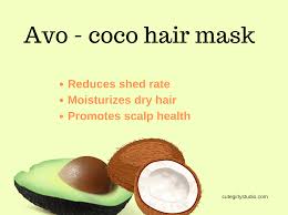 diy avocado and coconut milk hair mask